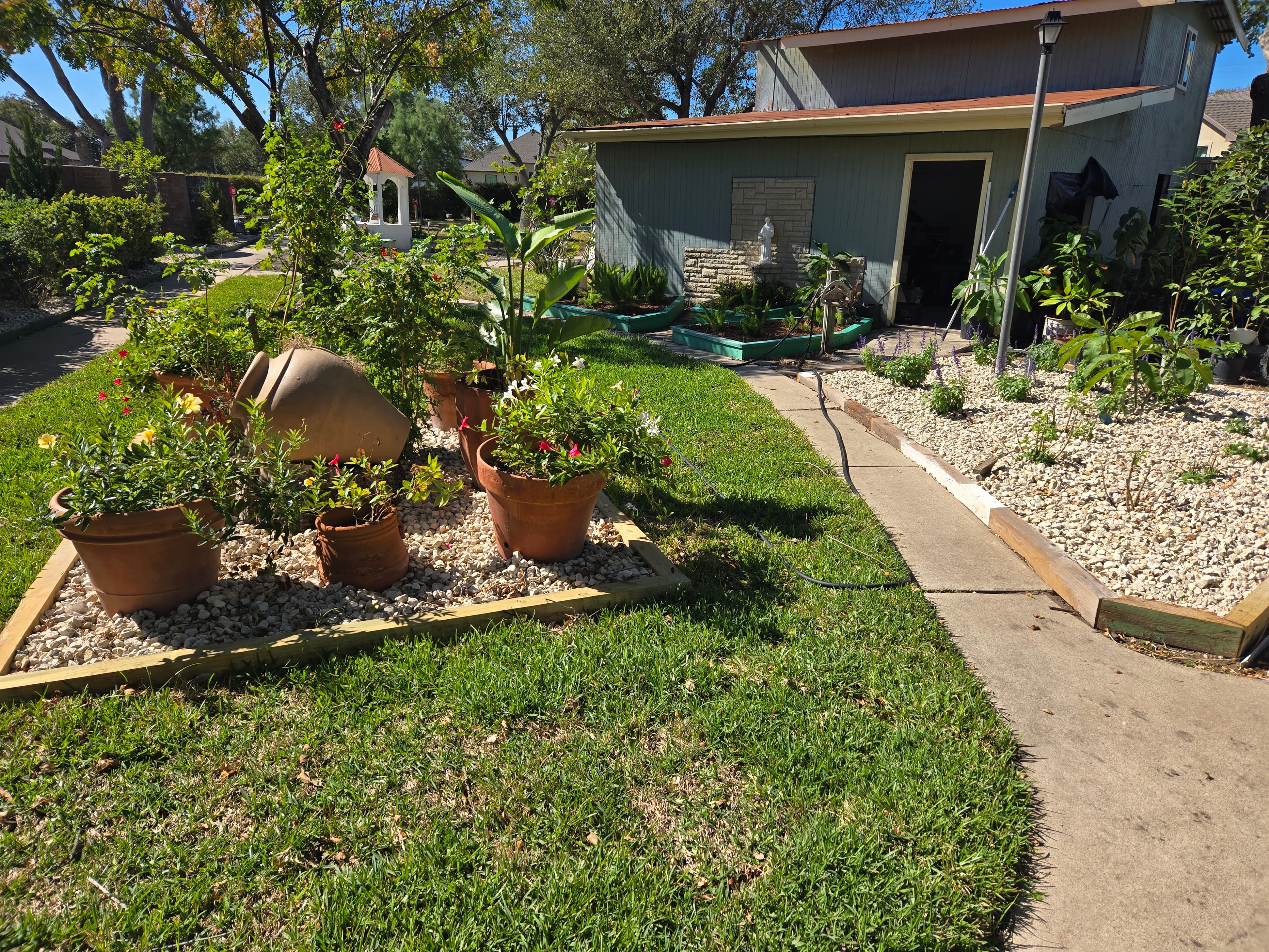 Bay Area Landscapes project photo 10