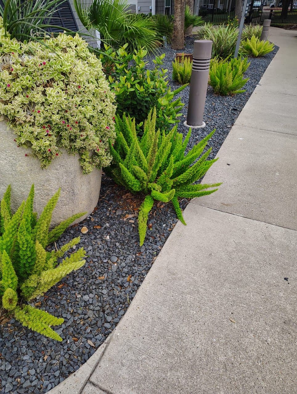 Bay Area Landscapes project photo 21