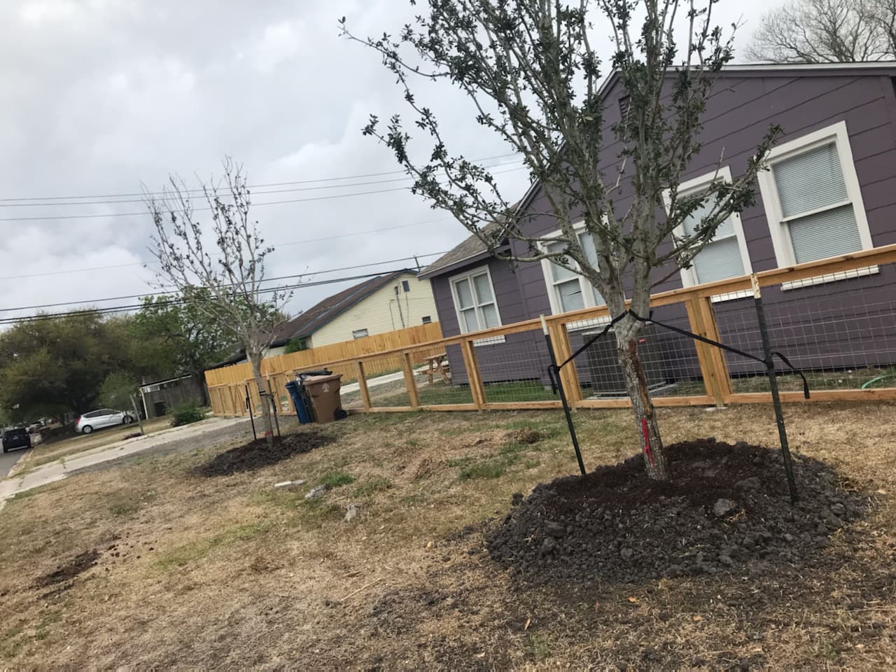 Tree Trimming & Care