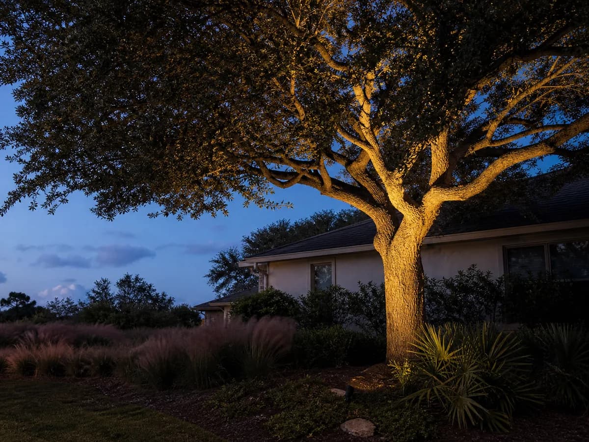Illustrative live-oak accent scene
