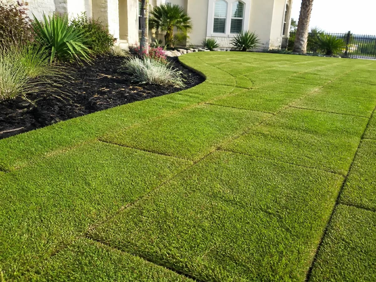 Illustrative installed turf scene